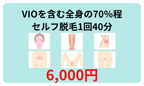 VIOを含む全身の70％程 セルフ脱毛1回40分6,000円